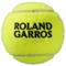 Мячи теннисные Wilson Roland Garros All Court (4X2) Balls  WRT116402 - фото 19411