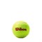 Мячи теннисные детские Wilson Starter Red Roland Garros 3 Balls  WRT147600 - фото 19671