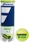 Мячи теннисные детские Babolat Green 3 Balls  501066 - фото 21010