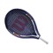 Ракетка теннисная детская Wilson Roland Garros Elite 21  WR029610H - фото 21259