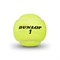 Мячи теннисные Dunlop ATP Championship 4 Balls  601333 - фото 29977