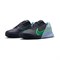 мужские Nike Zoom Vapor Pro 2 Clay Gridiron/Stadium Green/Cobalt Bliss  DV2020-004 - фото 29988