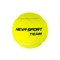 Мячи теннисные NS Team Black 3 Balls - фото 30543