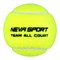 Мячи теннисные NS Team All Court 4 Balls - фото 30563