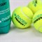 Мячи теннисные Diadem Premier Clay Court 3 Balls - фото 30573