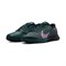 мужские Nike Zoom Vapor Pro 2 HC Premium Black/Deep Jungle/Clear Jade/Multi-Color - фото 33524
