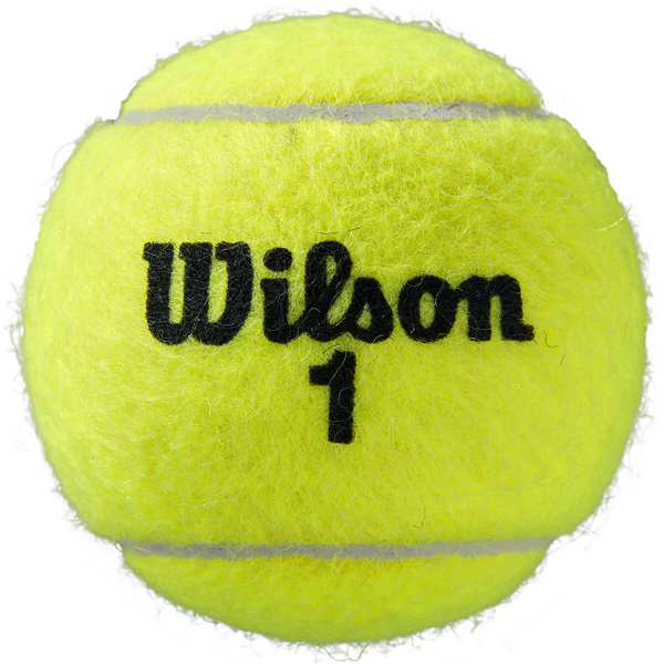Мячи теннисные Wilson Roland Garros Clay 3B