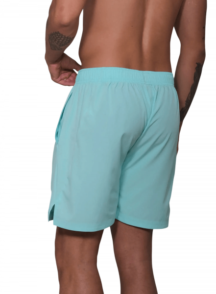 Шорты мужские RS Performance Shorts  Ace Blue/Clay